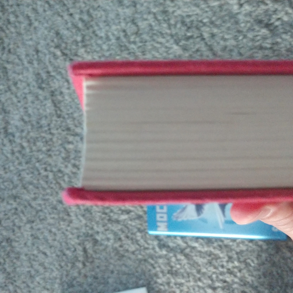 SALE--Catching Fire and Mockingjay - Picture 4 of 8